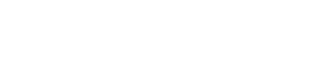 VIP GARAGE